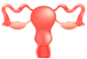Гинекология